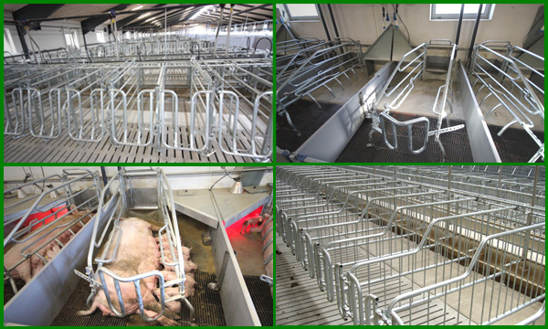 Business plan to buy a farm