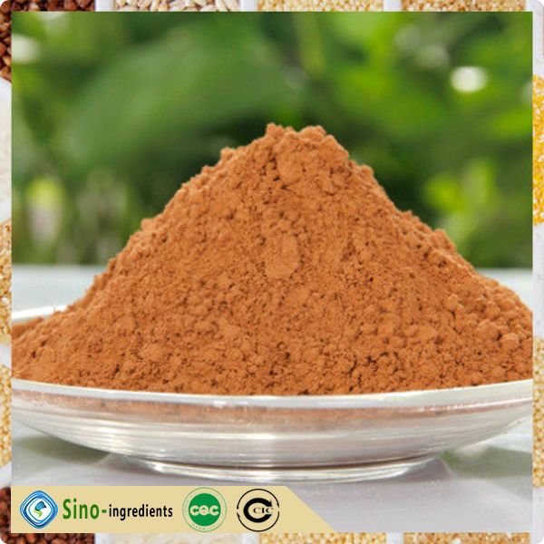 Alkalized cocoa powder factory