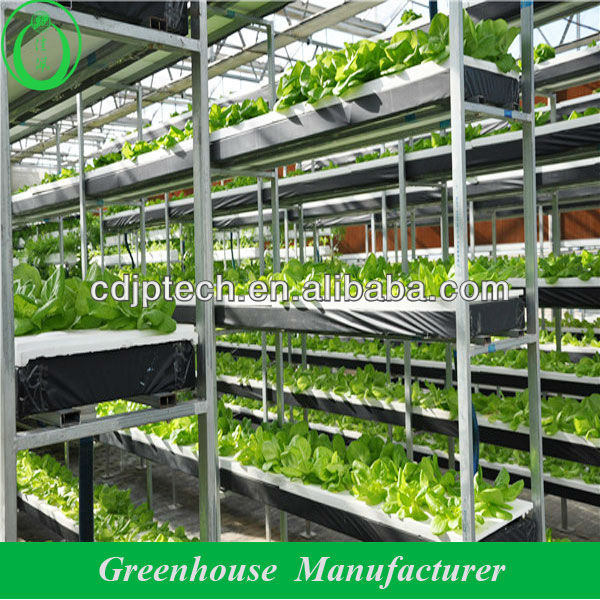 hydroponic system greenhouse