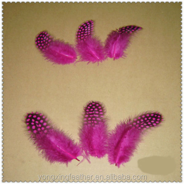 染めた紫のホロホロチョウの羽ジュエリー作りのための問屋・仕入れ・卸・卸売り