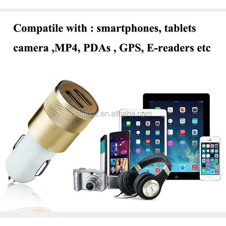 Lightning Car Charger (3).jpg