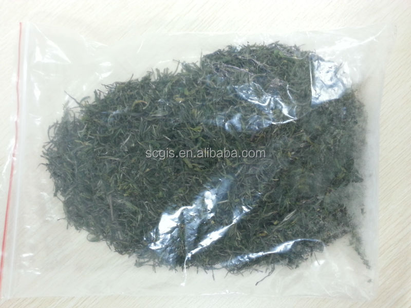 China famous green tea