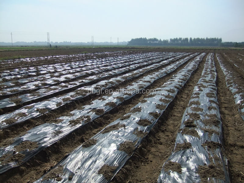 2014 Shaanxi new crop Fresh Potato in Various Pack