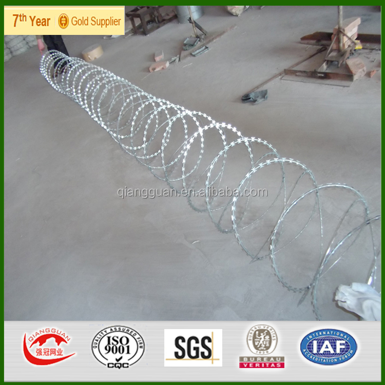 razor wire1006.jpg