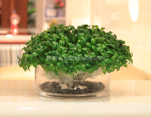 植物プラスチック製の人工的な鉢植えの人工観葉植物仕入れ・メーカー・工場