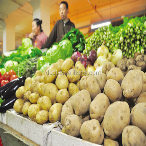 2014 New fresh potatoes from China. Best-selling markets