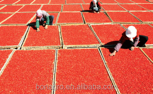 2013 new crop NingXia Goji Berry