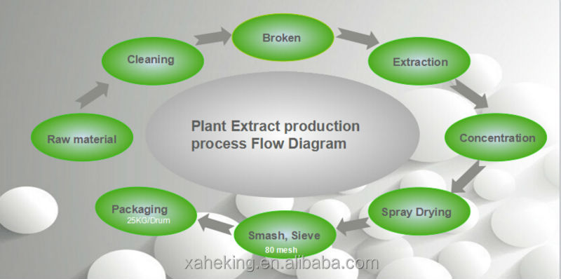 green coffee bean extract supplier
