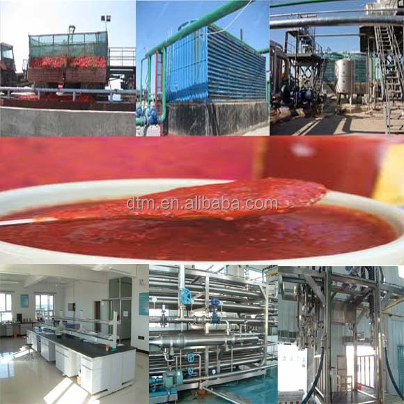 bulk tomato paste in drum 28-30,30-32,36-38