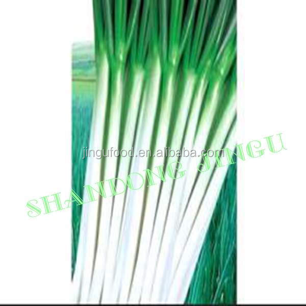 Wholesale Cheap High Quality Freeze Dried Onion