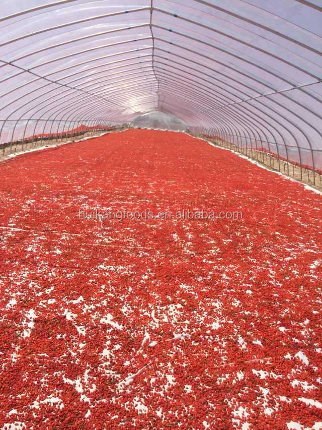 Certificated Ningxia dried goji berries