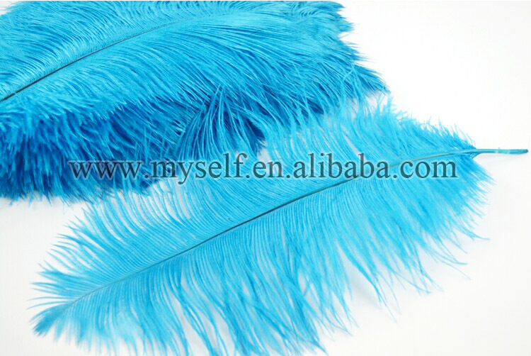 カラフルなダチョウの羽20-25cm2014年ウェディングドレスのための問屋・仕入れ・卸・卸売り