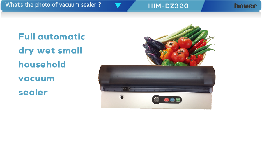 vacuum food sealer
