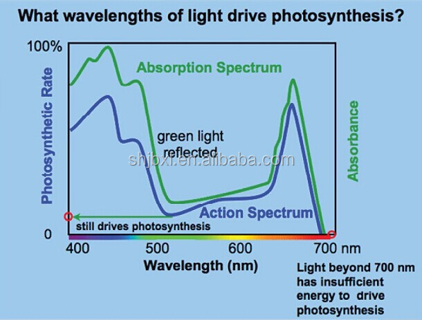 300wbi- スペクトル誘導は光成長のために使用される温室の照明;問屋・仕入れ・卸・卸売り