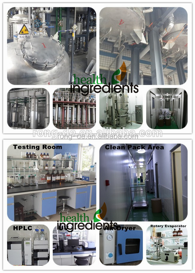GMP standard factory supplier factory price piperine herb black pepper powder