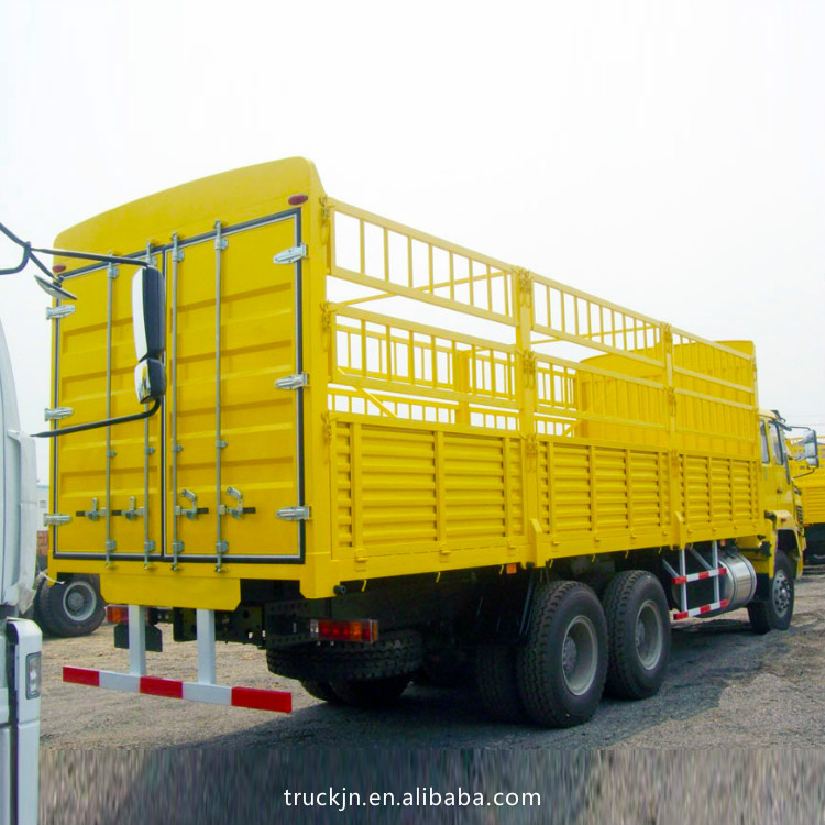 Golden Prince 6x4 Cargo9.jpg