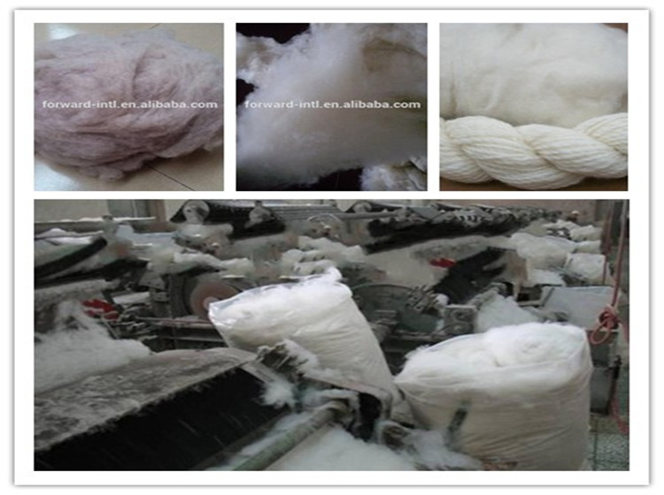 cashmere fiber 1.jpg
