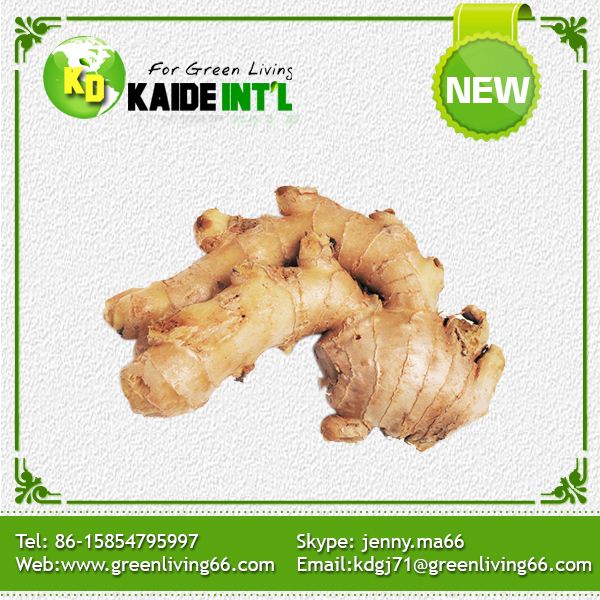 Fresh Ginger Packed In Pvc Box Carton