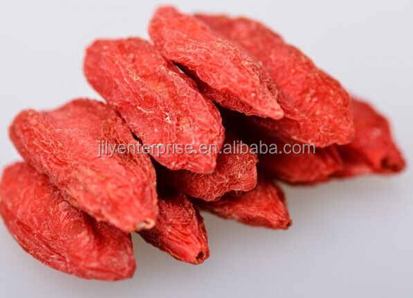Goji berries dried fruit conventional goji berries/ organic goji berry/fresh goji berries