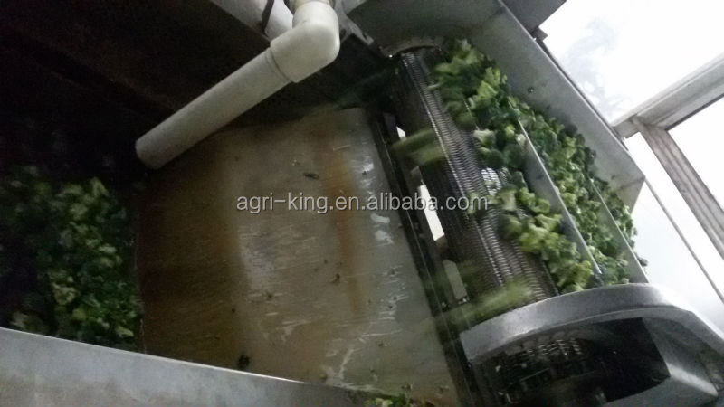 2014 new high quality frozen broccoli florets