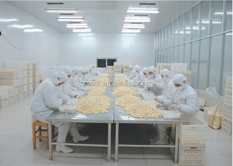 high quality frozen garlic segment