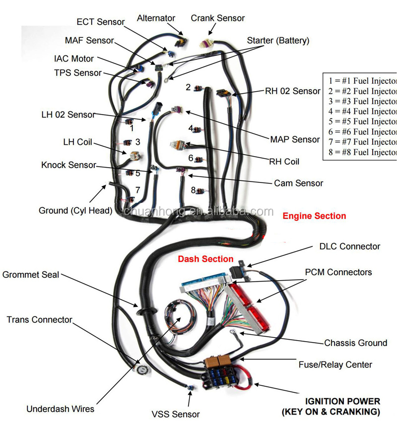 LS1 LS6 EFI harness.jpg