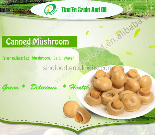 New crop canned mushroom in tin with top quanlity