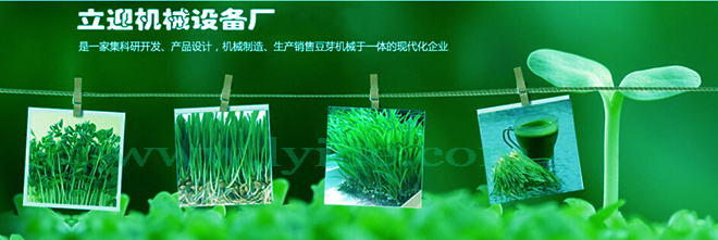 sprout-2