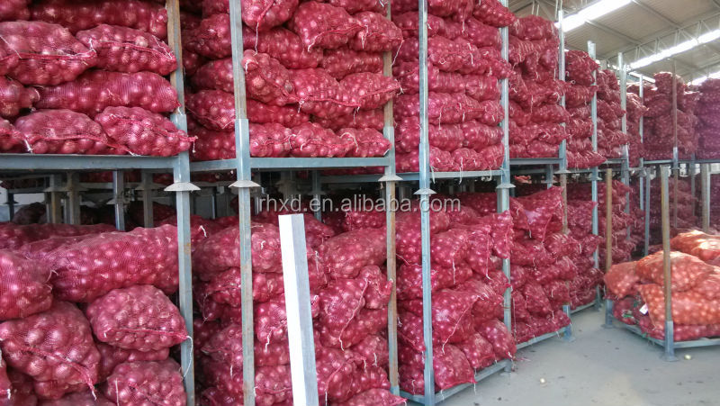2014 new crop onion seeds for sale