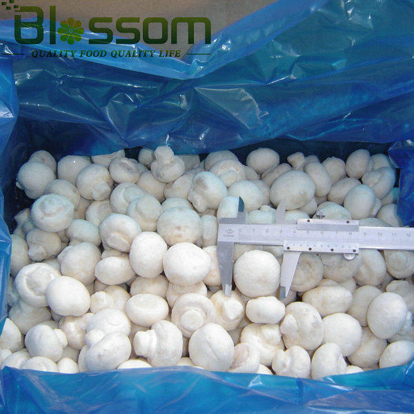 IQF double spore frozen champignons export mushroom