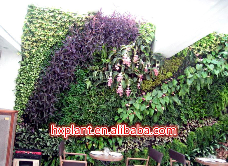 中国2014年高いシミュレーション植物屋外の壁の装飾壁壁人工植物問屋・仕入れ・卸・卸売り