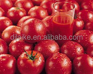 2014 Xinjiang tomato paste