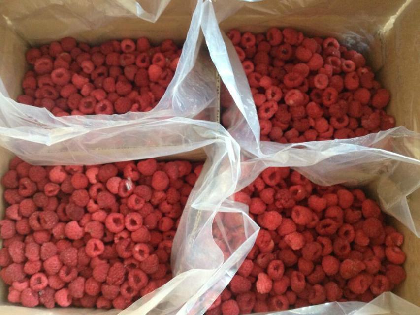 Frozen pi raspberry