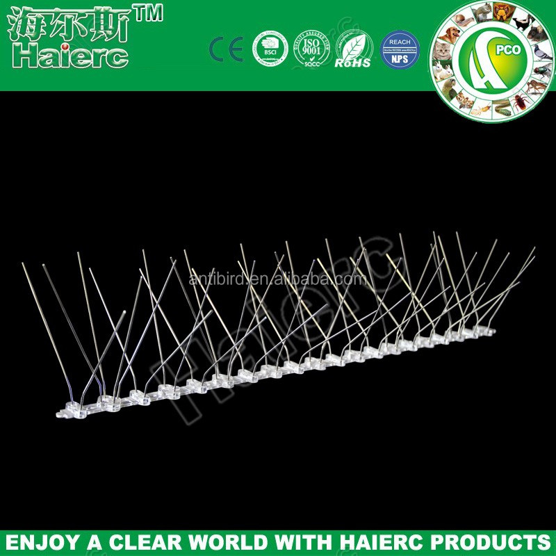cheap plastic polycarbonate Bird Spike.jpg