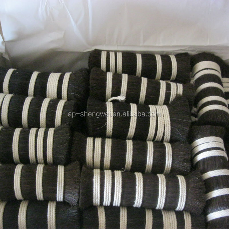black horse mane mix PP