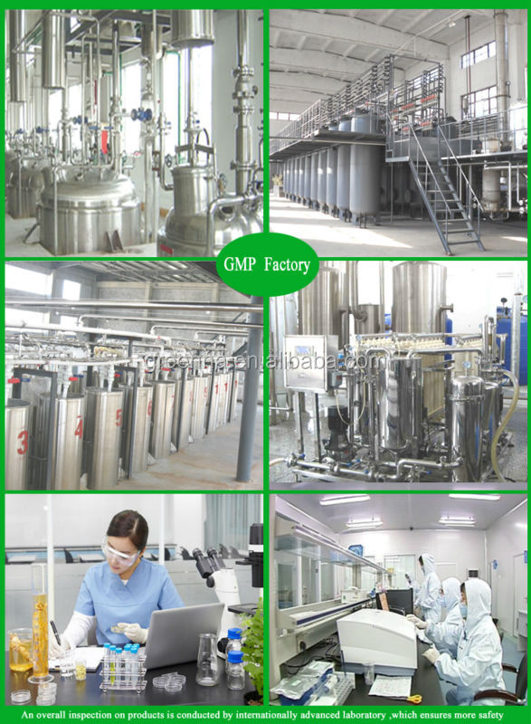 Gingerol Ginger Extract