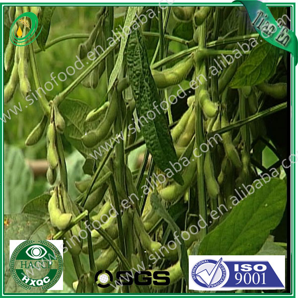 Refined soybean oil--most competitive market price