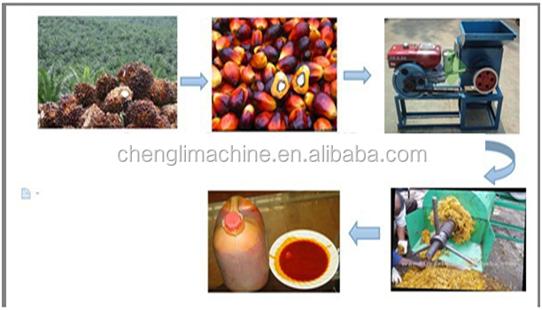 palm fruit oil pressing machine h.jpg