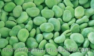 Frozen broad beans