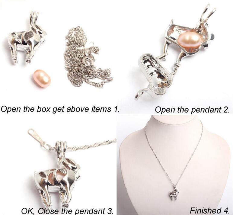 instruction.jpg