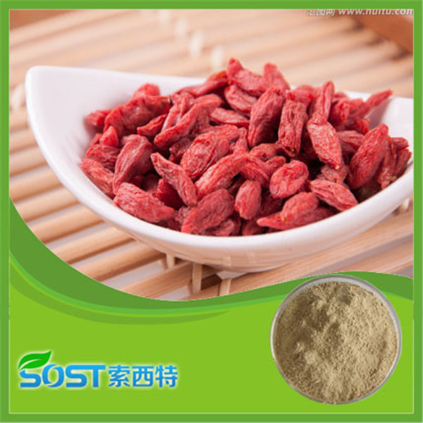 Manfacturer supply Goji berry extract powder