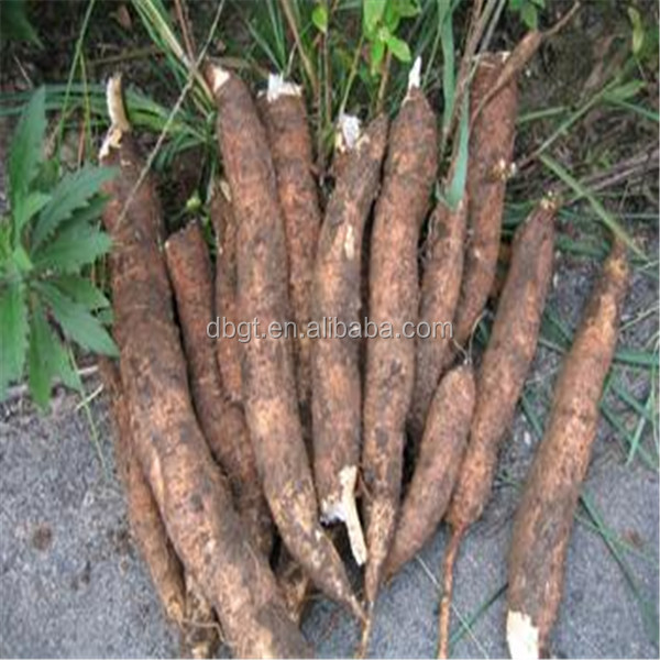 tapioca starch/tapioca starch factory/cassava flour