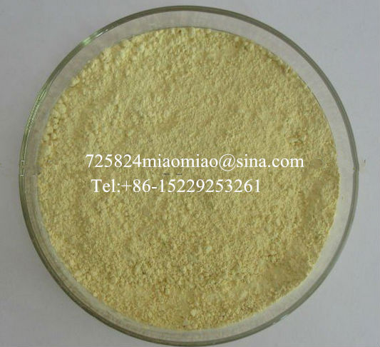 aloe vera gel extract powder best manufacturer