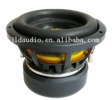 8 inch Subwoofer.JPG