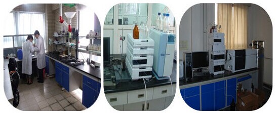 Food grade Citric Acid Monohydrate Food additive