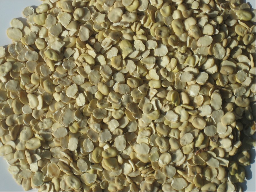 豆の皮machine|soybeanmachine|beanピーリングピーリングピーリングマシン問屋・仕入れ・卸・卸売り