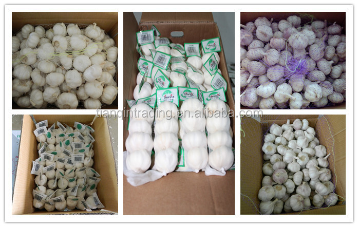 chinese normal white garlic price China Garlic/AJO/ALI/ALHO
