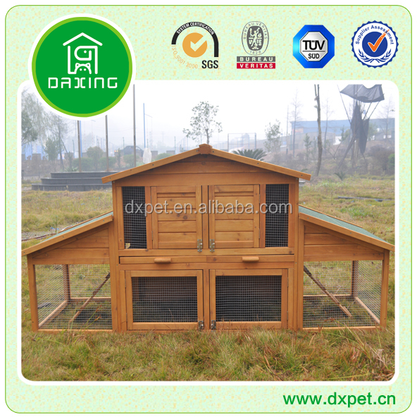 DXR031.jpg