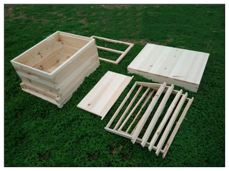bee hive boxes
