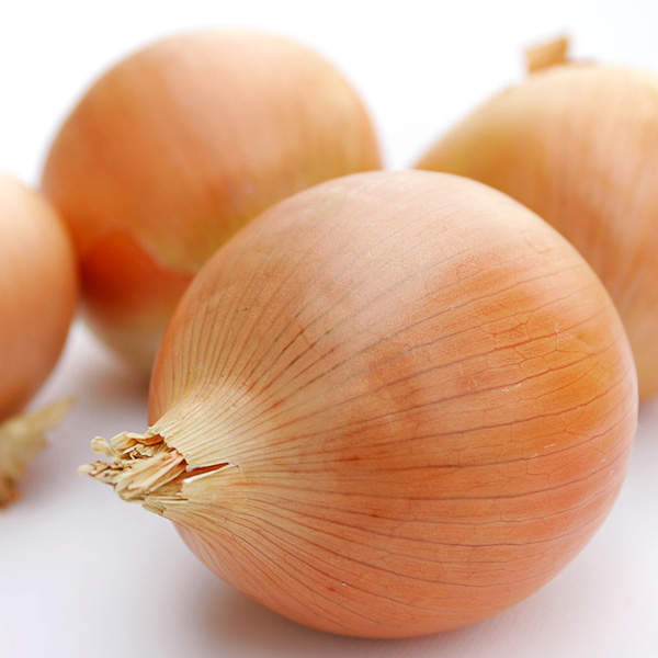 fresh yellow onion red onion